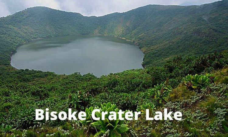 3 Day Rwanda Gorilla & Mount Bisoke Safari