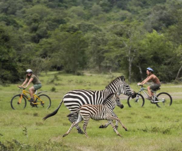 9 Day Uganda Gorilla Safari with Lake Mburo