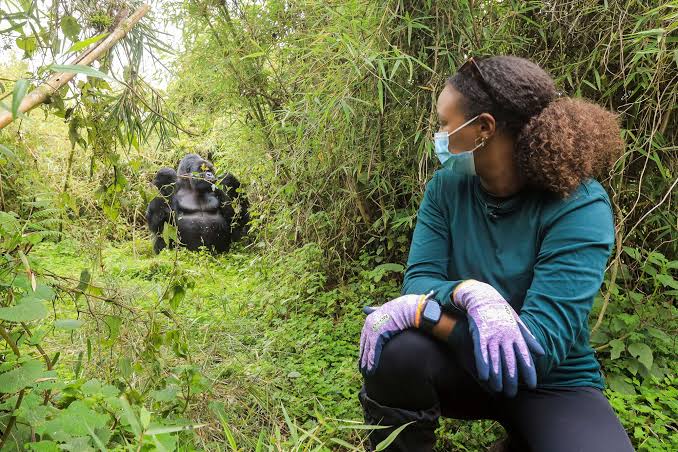 Gorilla trekking encounter in Bwindi