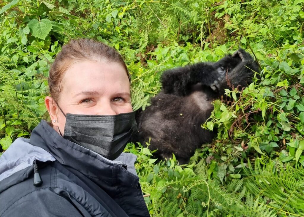How Close Do You Really Get to Mountain Gorillas?