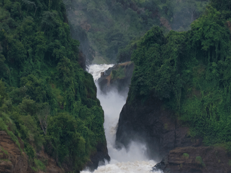 8 Day Uganda Gorilla Safari with Murchison Falls