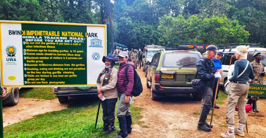 What Happens Before Tourists Enter Bwindi Each Morning?