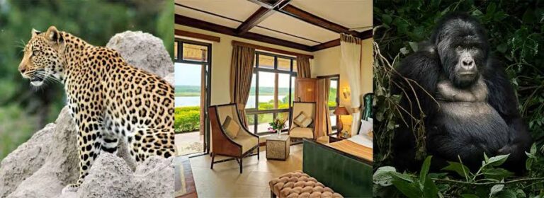 11 Day Luxury Uganda Safari